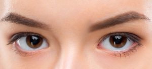 cejas
